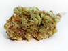 bud-marijuana-gallery-lemon-ice-bud-pic bud-marijuana-gallery-lemon-ice-bud-pic