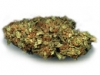 bud-marijuana-gallery-light-of-jah-feminized-autoflowering-bud-pic bud-marijuana-gallery-light-of-jah-feminized-autoflowering-bud-pic