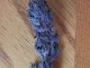 bud-marijuana-gallery-medical_marijuana_011_4_original bud-marijuana-gallery-medical_marijuana_011_4_original