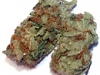 bud-marijuana-gallery-pride-of-amsterdam-bud-pic bud-marijuana-gallery-pride-of-amsterdam-bud-pic