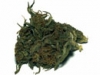 bud-marijuana-gallery-space-bubble-feminized-bud-pic bud-marijuana-gallery-space-bubble-feminized-bud-pic