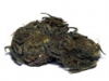 bud-marijuana-gallery-tatanka-bud-pic bud-marijuana-gallery-tatanka-bud-pic