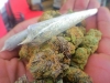 bud-marijuana-gallery-tumblr_mh3syhcp8p1qg5nljo1_1280 bud-marijuana-gallery-tumblr_mh3syhcp8p1qg5nljo1_1280