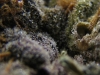 bud-marijuana-gallery-tumblr_mhtzq6gg7m1qdlzf3o1_1280 bud-marijuana-gallery-tumblr_mhtzq6gg7m1qdlzf3o1_1280