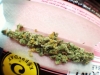 bud-marijuana-gallery-tumblr_mii7pnfmnd1qj1xelo1_1280 bud-marijuana-gallery-tumblr_mii7pnfmnd1qj1xelo1_1280