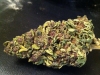 bud-marijuana-gallery-tumblr_miwd8j14lj1rliu2vo1_1280 bud-marijuana-gallery-tumblr_miwd8j14lj1rliu2vo1_1280