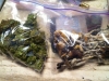 bud-marijuana-gallery-tumblr_mj0l4bwdgb1rliu2vo1_1280 bud-marijuana-gallery-tumblr_mj0l4bwdgb1rliu2vo1_1280