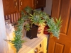 bud-marijuana-gallery-up_gold_done_1_001_original bud-marijuana-gallery-up_gold_done_1_001_original