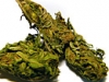bud-marijuana-gallery-yoruba-nigeria-bud-pic bud-marijuana-gallery-yoruba-nigeria-bud-pic