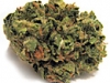 bud-marijuana-gallery-crystal-rain-feminized-bud-pic