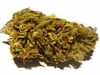 bud-marijuana-gallery-durban-poison-bud-pic