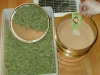 bud-marijuana-gallery-greenthumbseedspg_collectingtrichomes-001