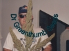 bud-marijuana-gallery-greenthumbseedspg_doc