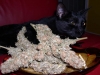 bud-marijuana-gallery-greenthumbseedspg_driedchumaluma