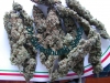 bud-marijuana-gallery-greenthumbseedspg_driedmillennium