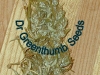 bud-marijuana-gallery-greenthumbseedspg_driedy2kbud